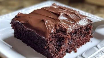 Chocolate Depression Cake