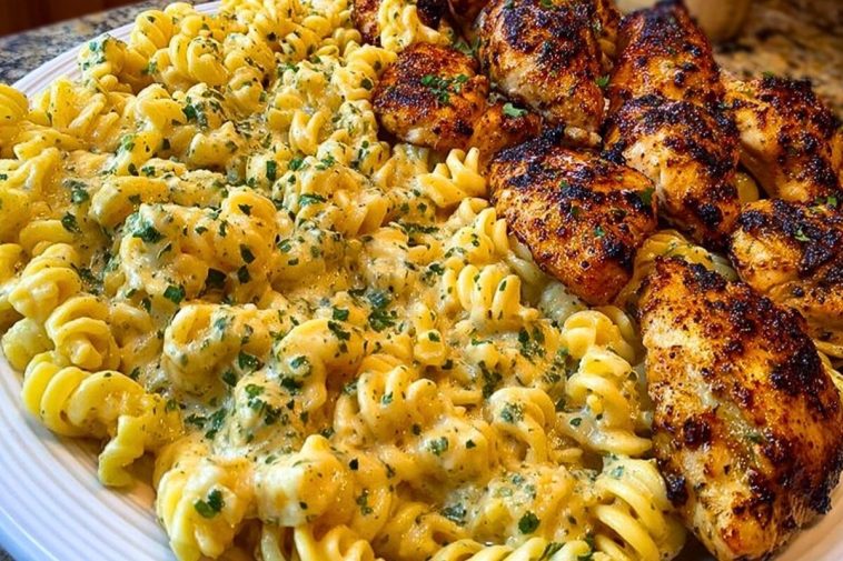 Creamy Garlic Butter Chicken and Rotini in Parmesan Sauce